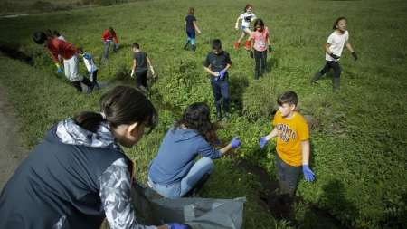 Colexios que se estrean ou que volven: proxectos que reverdecen Voz Natura